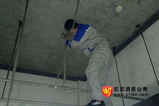 ���������^